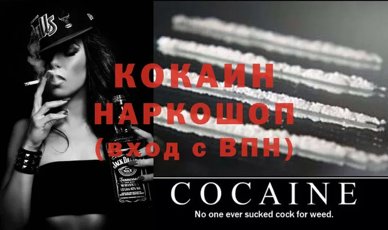 Cocaine FishScale  как найти закладки  Кандалакша 