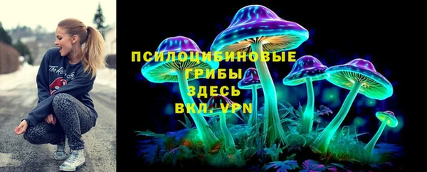 первитин Лабытнанги