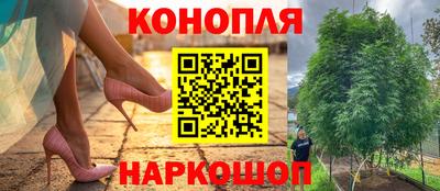 тгк Донской
